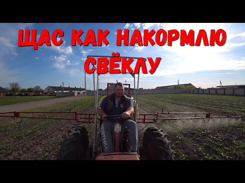 Видео: Листовая подкормка Свёклы/Подкормка Удобрением/Комплексное Удобрение.