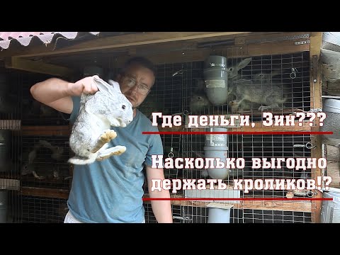 Видео: Выгодно ли держать кроликов? И есть ли прибыль?!