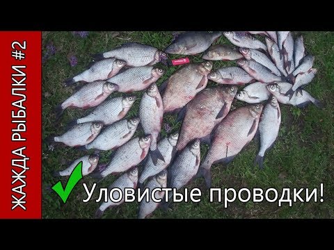 Видео: Крупная плотва на боковой кивок с безмотылкой. Уловистые проводки.