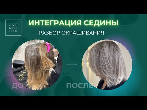 Видео: ИНТЕГРАЦИЯ СЕДИНЫ (разбор окрашивания)