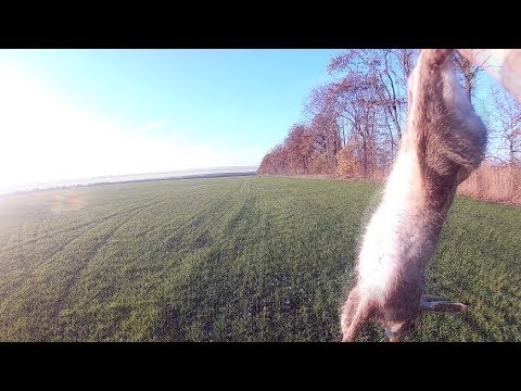 Видео: Відкриття полювання на зайця 2017.  "Один із п'ятнадцяти"