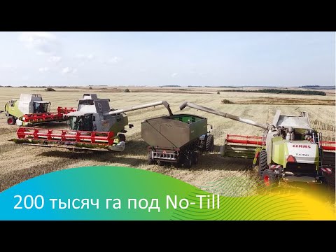 Видео: 200 тысяч га под No-Till