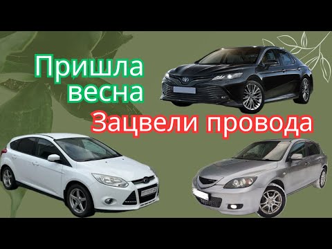 Видео: Оживление автомобилей: Ford Focus 3, Mazda 3, Toyota Camry.