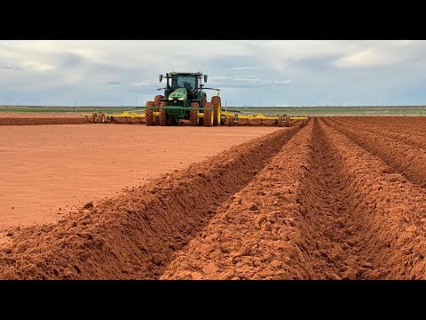 Видео: Супер красивые длинные прямые ряды