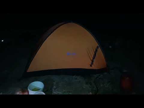 Видео: Куланотпес рыбалка с приключениями!!!