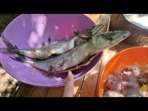 Видео: Палатки день второй