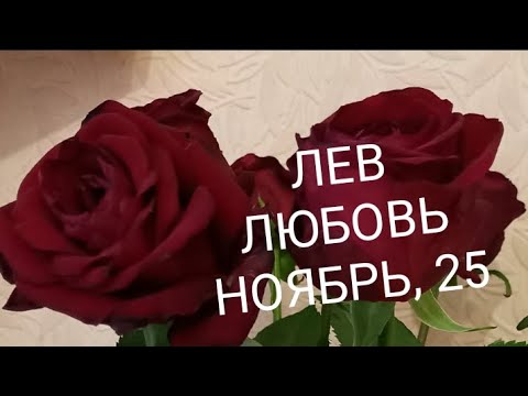Видео: ЛЕВ ЛЮБОВЬ НОЯБРЬ 2025 года