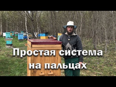 Видео: Простая система пчеловождения для новичков.