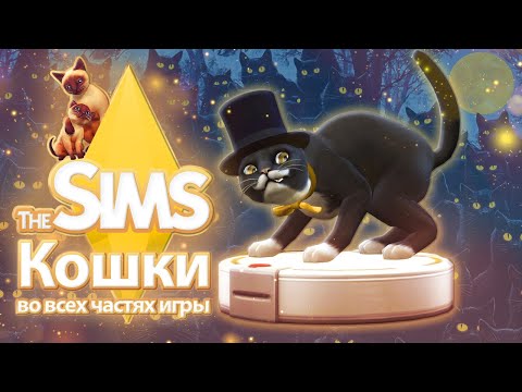 Видео: Я изучила кошек в The Sims - всё про виртуальный комочек счастья😺❤️