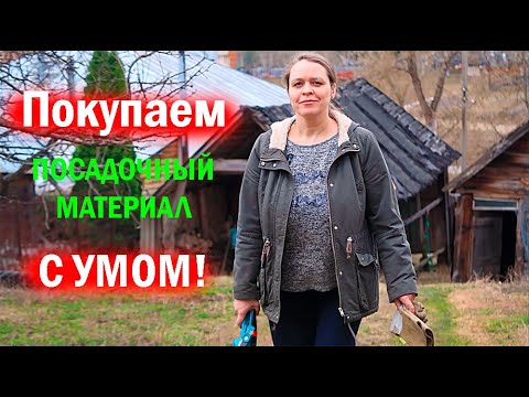 Видео: Не покупайте саженцы, пока не посмотрите это видео!