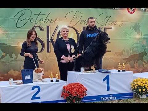 Видео: Документарен филм: Македонските паничари и карамани на победничкиот пиедестал