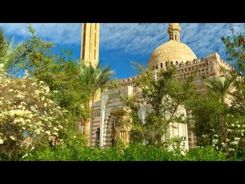 Видео: Посещение батискафа и катание на квадроциклах, верблюды и пляж 🏖 🇪🇬 🐫