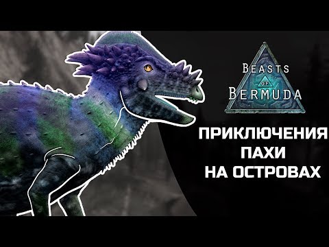 Видео: BEASTS OF BERMUDA - Приключения пахицефалозавра