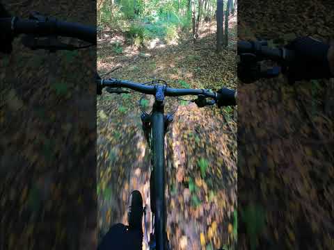 Видео: Село Хотылёво