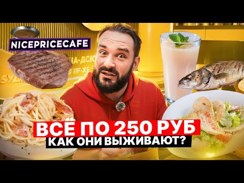 Видео: Самый дешёвый ресторан в Москве / Обзор Nice Price Cafe / Стейк или целый сибас за 250 руб?