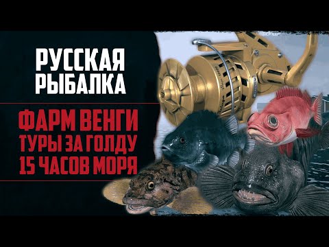 Видео: Новый Путь в РР4 #8 🔴 Фарм Морем на Венгу | Как Получить Максимум Серебра | Три Тура за Голду