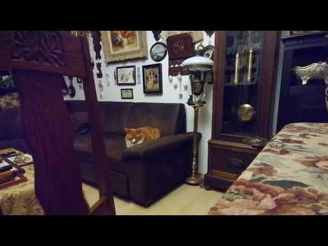 Видео: Самвел Адамян. Анжелика Снежинская.. ПатриЁты диванные.. 