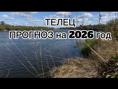 Видео: ПРОГНОЗ для ТЕЛЬЦОВ. ТЕНДЕНЦИИ на 2026 год . 