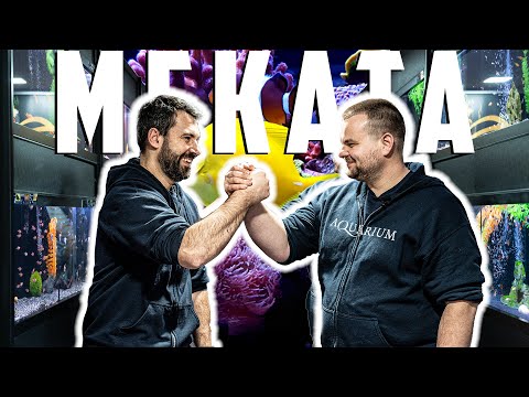 Видео: МАГАЗИН ЗА АКВАРИСТИКА - гр. София, бул. Гоце Делчев, бл. 1Б - ЧАСТ 2