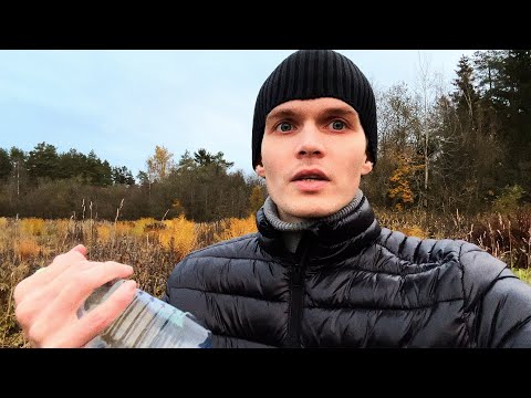 Видео: ГЛОБАЛЬНАЯ ЦИФРОВИЗАЦИЯ!