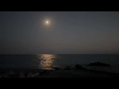 Видео: Вардане 2025