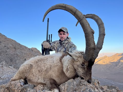 Видео: Not ordinary Iranian hunting trophies 2023. Не простые трофеи Ирана 2023.