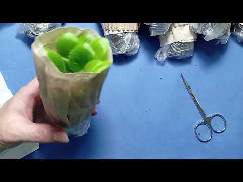 Видео: Посылка фиалки распаковка #фиалка