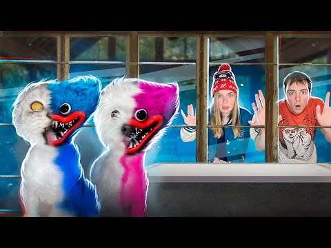 Видео: ХАГГИ ВАГГИ В РЕАЛЬНОЙ ЖИЗНИ! ЗРЯ МЫ ПОДОБРАЛИ ИГРУШКУ НА УЛИЦЕ...