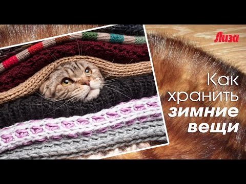 Видео: КАК ХРАНИТЬ ЗИМНИЕ ВЕЩИ