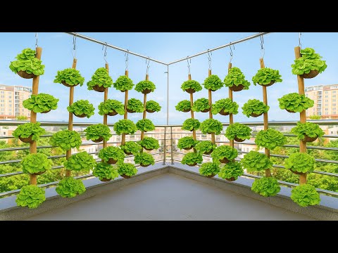 Видео: Превратите кокосовую скорлупу в салатную грядку на балконе