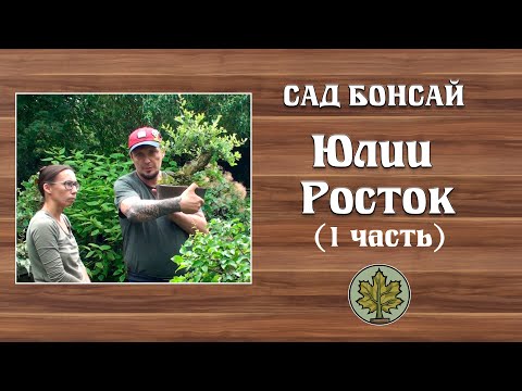 Видео: Сад бонсай Юлии Росток (часть 1) @Studio.Bonsai