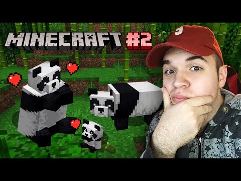 Видео: БАРАМЕ ВТОРА ПАНДА (Minecraft #2)