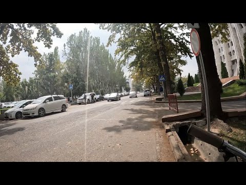 Видео: Бишкек. Ак үйдүн "азаматтары"