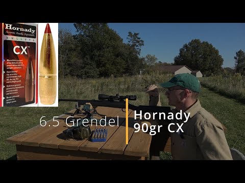 Видео: 90gr Hornady CX в 6.5 Grendel Howa Mini