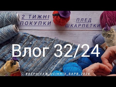 Видео: 🍁 Влог 32/24🍂 Два тижні, покупки, плед, шкарпетки, светри, перемот пряжі #вернісаж_осінніх_барв_2024