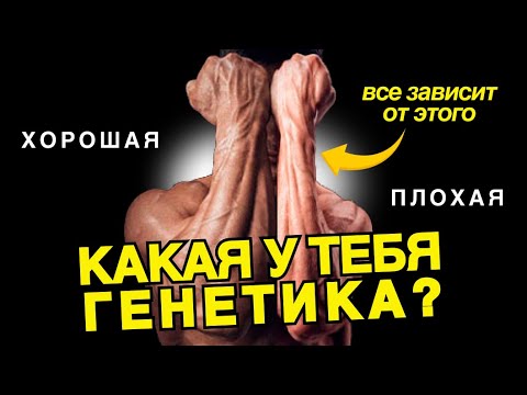 Видео: Сколько мышц ты нарастишь за жизнь? Узнай до того, как начнешь.