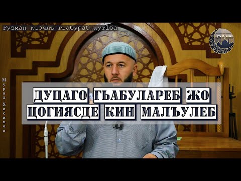 Видео: Дуцаго гьабулареб жо цогиясде кин малъулеб?