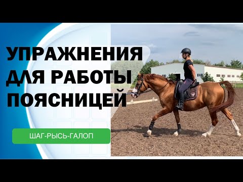 Видео: УПРАЖНЕНИЯ ДЛЯ РАБОТЫ ПОЯСНИЦЕЙ