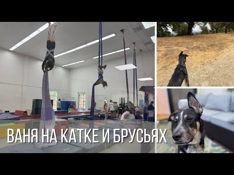 Видео: Ваня на катке и брусьях