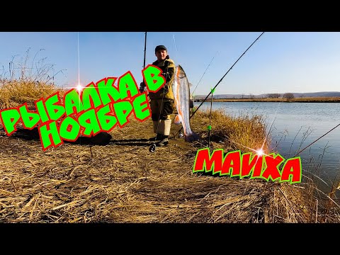 Видео: РЫБАЛКА на речке МАИХА. Ловля КРАСНОПЁРКИ (Дальневосточный Угай). Отлично порыбачил.