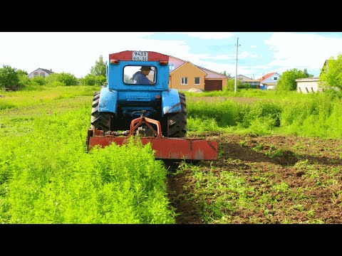 Видео: Фреза 2022 и Трактор Т-40.