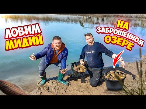 Видео: ЛОВИМ МИДИЙ РУКАМИ НА ЗАБРОШЕННОМ ОЗЕРЕ!