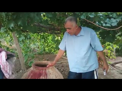 Видео: Изготовление вина в домашних условиях из винограда ГИС 1-31