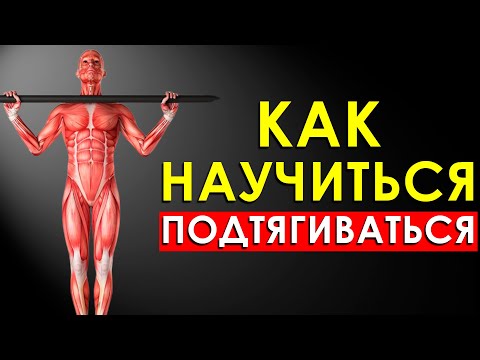 Видео: Как Научиться Подтягиваться на Турнике с Нуля?