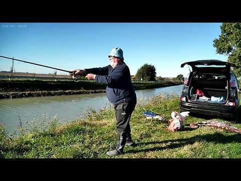Видео: Угадайте, сколько килограмм рыба? #рыбалка #fishing #myfishing #carpfishing #рыбалкасдедом