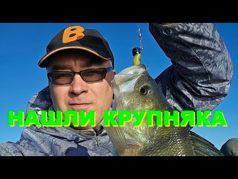 Видео: НАШЛИ КРУПНЯКА. C PANOPTIXом на окуня.