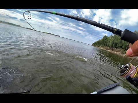 Видео: КРОКОДИЛЫ ОДИН ЗА ДРУГИМ!!! Волшебная трофейная рыбалка на Оби!