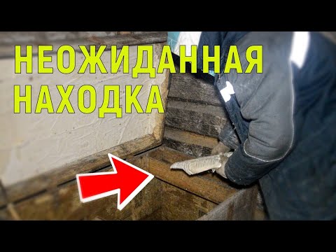 Видео: КУПИЛ ДОМ В ДЕРЕВНЕ И НАШЁЛ КЛАД/ ИЗБА / ДОМ В ДЕРЕВНЕ / ДОМ У ЛЕСА / ХУТОР