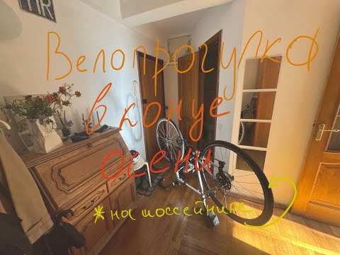 Видео: почему нужно кататься на шоссейнике осенью в воскресенье днём по чёрной речке в санкт-петербурге