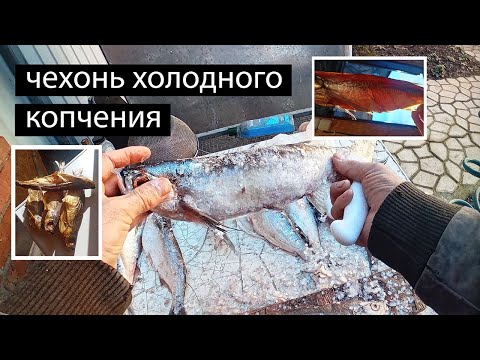 Видео: Чехонь холодного копчения.
